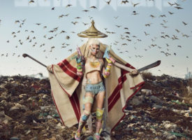 In Celebration of Die Antwoord